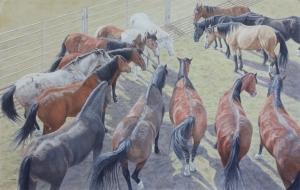 Bucking Horses Resting Pendleton Roundup