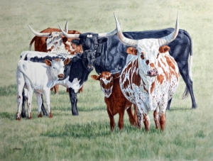 Longhorn Cows & Calves