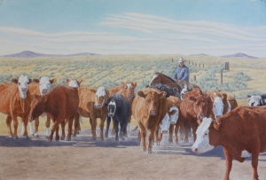Sage Country Cattle Drive